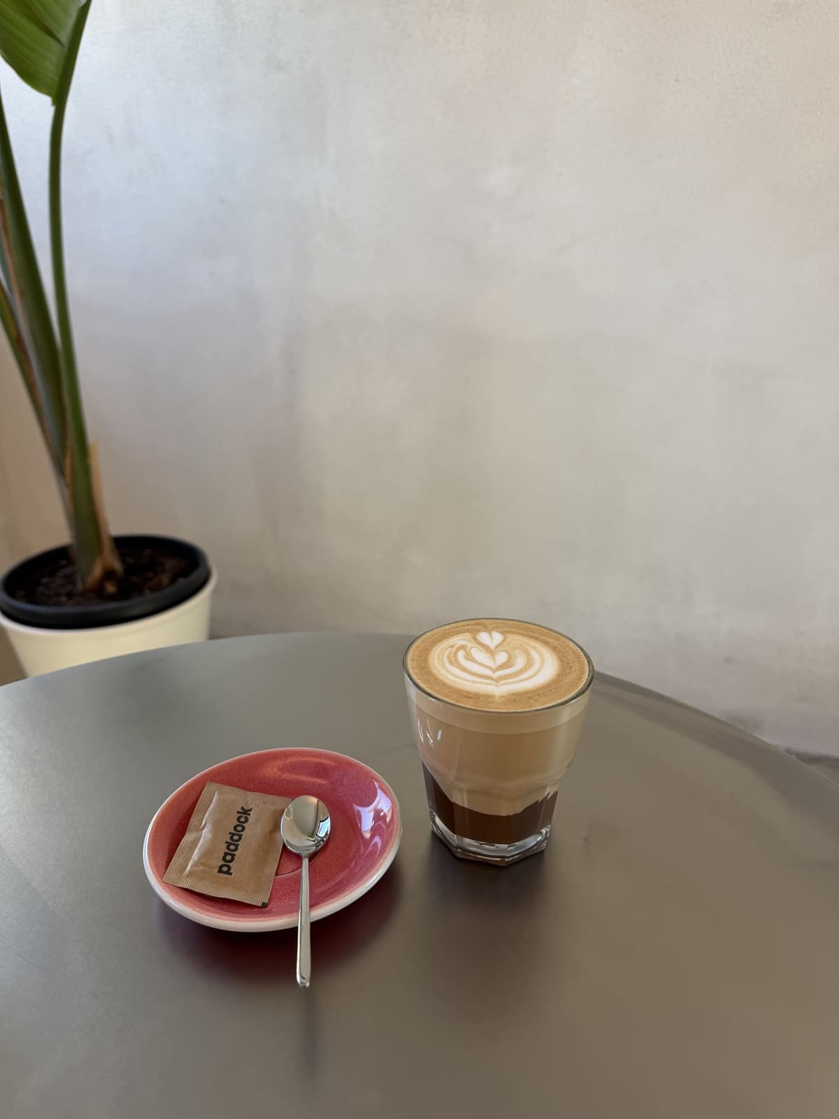 Choco Cappuccino