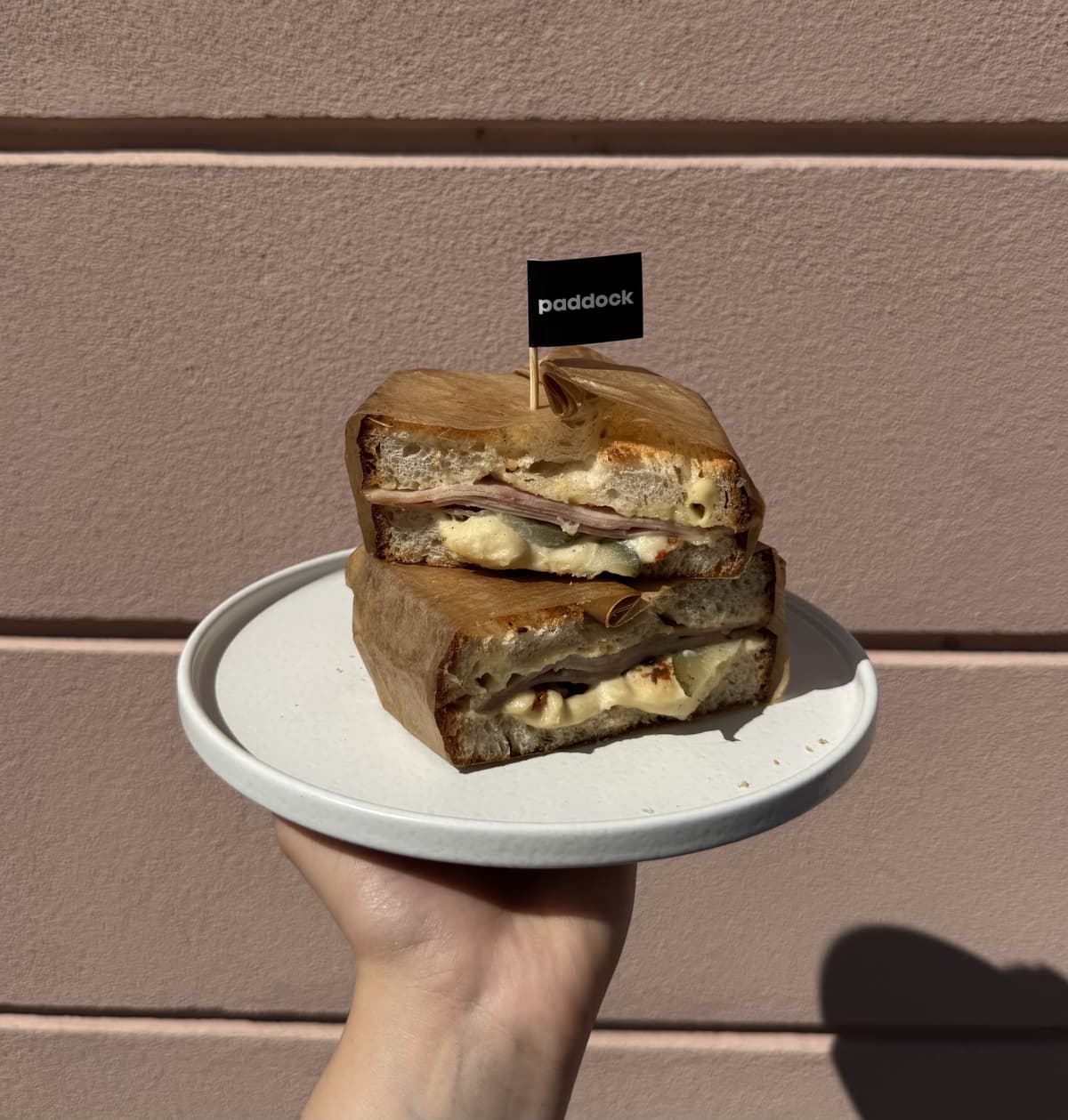 Ham and Cheese s cesnakovou Aiol