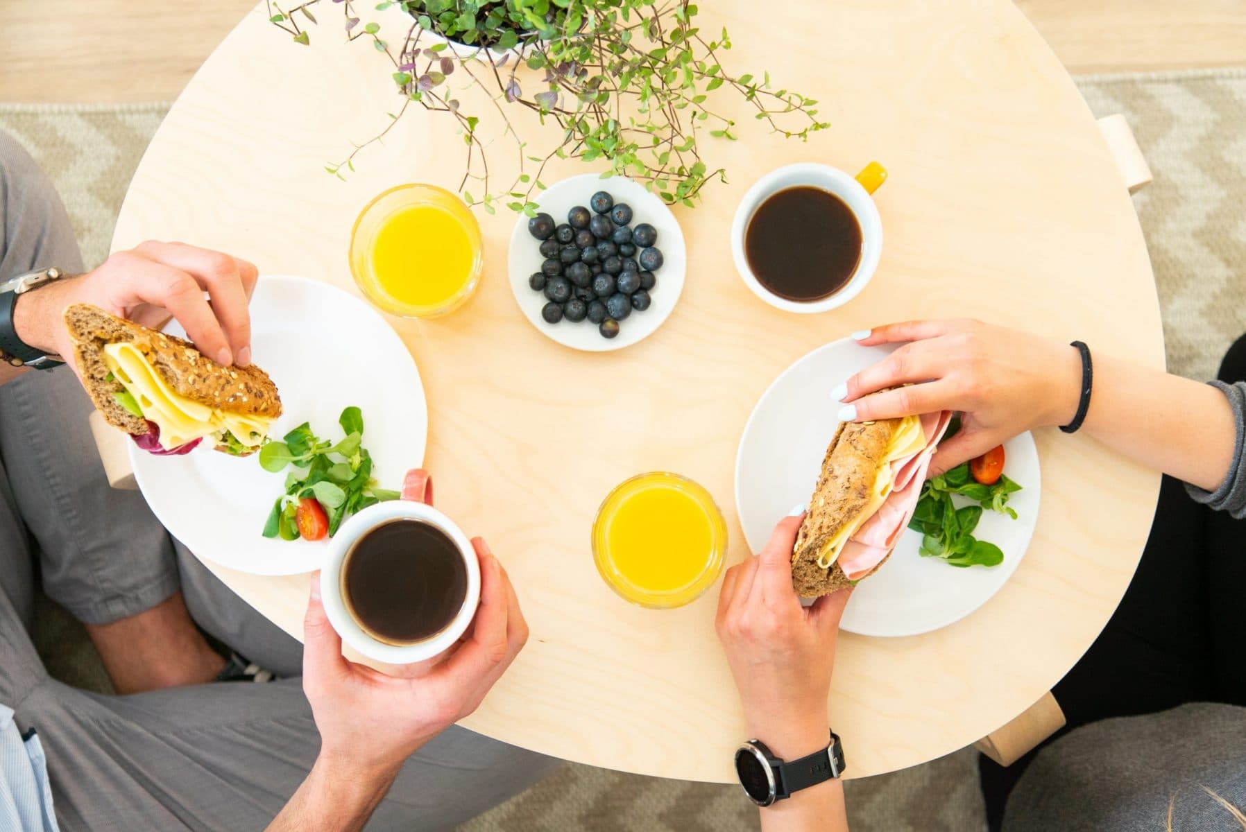 @little__paddock post 2